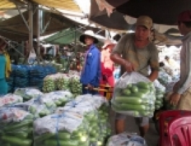 11 vườn rau bị rút chứng nhận VietGap