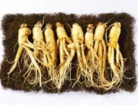 Công bố chất lượng nhân sâm nhập khẩu