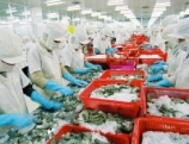 Dịch vụ kiểm nghiệm thủy sản