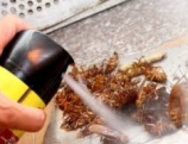 Tư vấn về đăng ký hóa chất, chế phẩm dùng trong lĩnh vực gia dụng và y tế