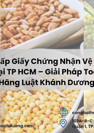 Dịch vụ xin cấp giấy chứng nhận vệ sinh an toàn thực phẩm tại Tp.HCM